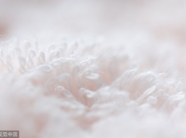 36氪首发 | 「化纤邦」获数千万元B轮融资，以SaaS系统为端口接入一站式服务